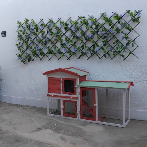 Transformação total do quintal.