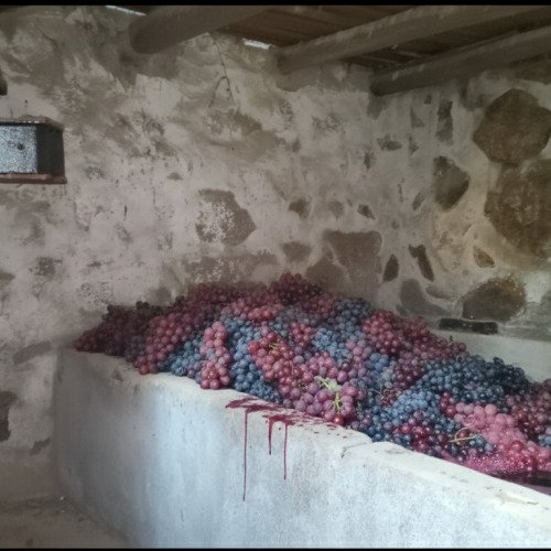 A Alma do Lagar: O presente da nossa história.