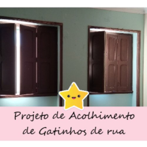 Espaço de Acolhimento de Gatinhos de rua