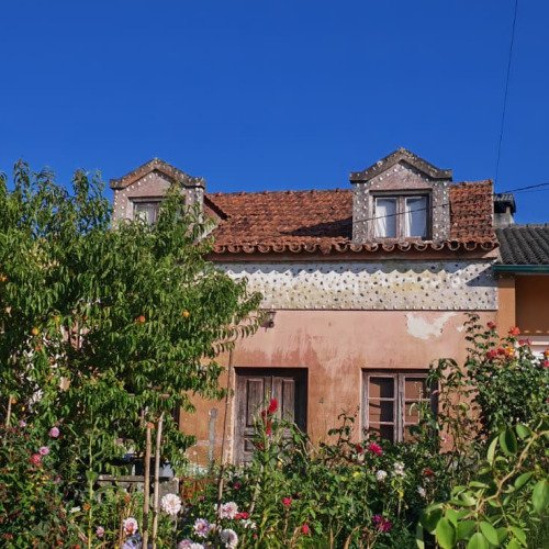 Andorinha: Uma casa renovada, uma vida reacendida