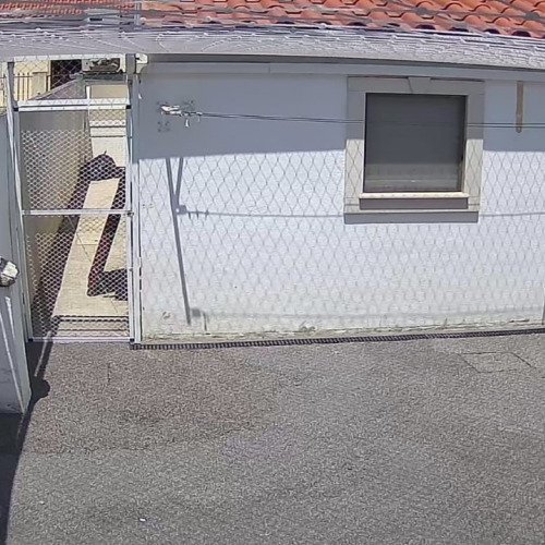 O Pátio era um sonho e tem sido um pesadelo!